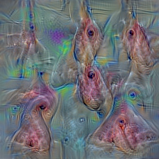 n02927161